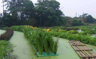 新農(nóng)村污水處理解決方案 新農(nóng)村污水處理解決方案